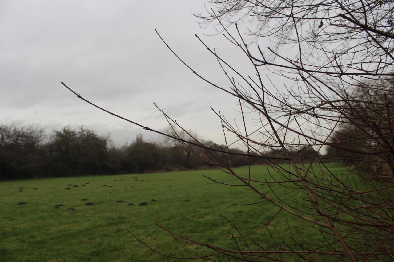 Shelford Lodge Trumpington Kültér fotó